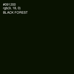 #091200 - Black Forest Color Image